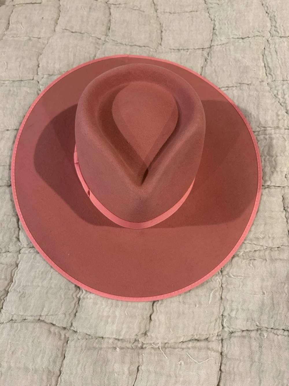 Lack Of Color Rose Rancher - Picture 3 of 6